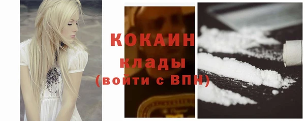 СК Новозыбков
